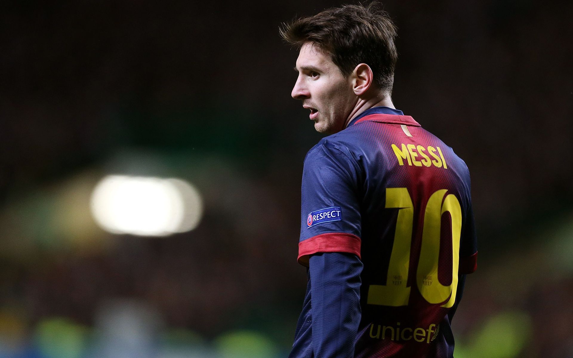 大利提供了 大利提供了